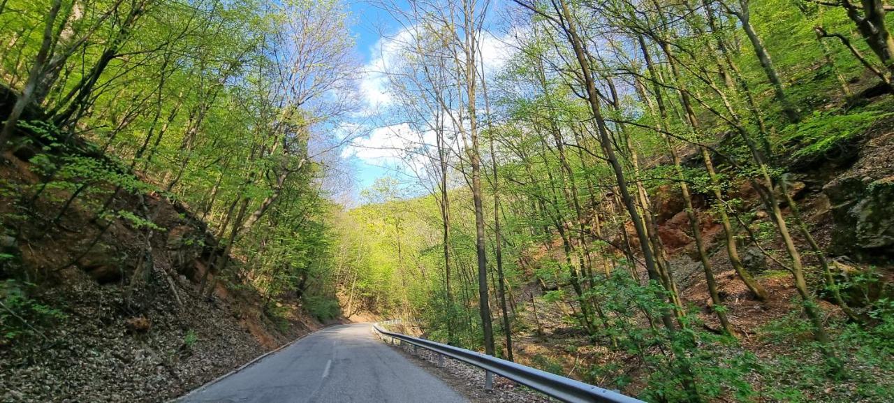 Hos-Cegledi Vendeghaz Miskolc -Oenallo Otthon, Mely Csak Az Oenoeke Экстерьер фото