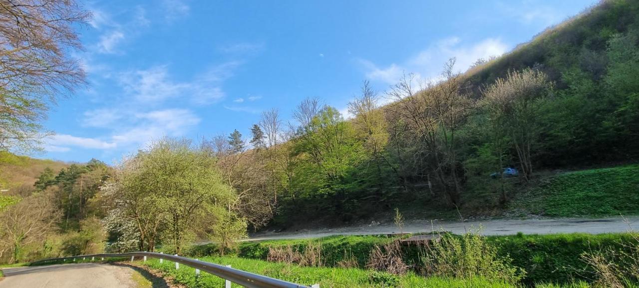 Hos-Cegledi Vendeghaz Miskolc -Oenallo Otthon, Mely Csak Az Oenoeke Экстерьер фото