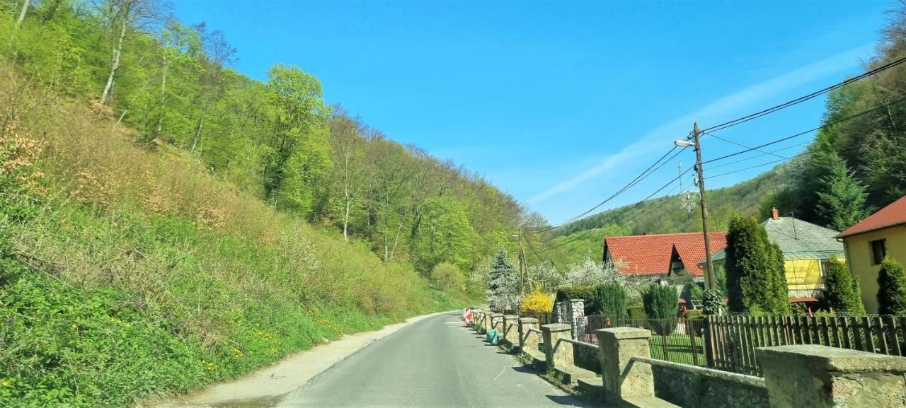 Hos-Cegledi Vendeghaz Miskolc -Oenallo Otthon, Mely Csak Az Oenoeke Экстерьер фото