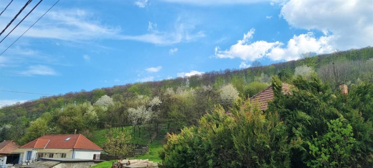 Hos-Cegledi Vendeghaz Miskolc -Oenallo Otthon, Mely Csak Az Oenoeke Экстерьер фото
